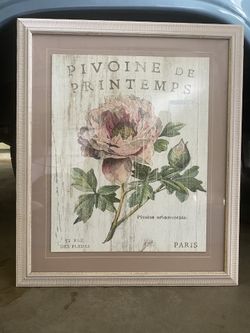 Flower (peony) Matted Print In Glass Frame 