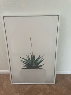 Succulent Minimalist Wall Art