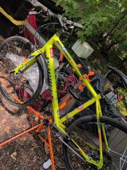 Specialized SURRUS