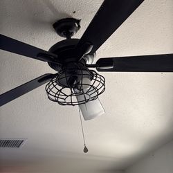 Celling fan and light