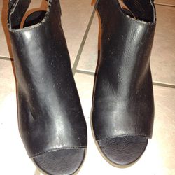 Black Shoe's 