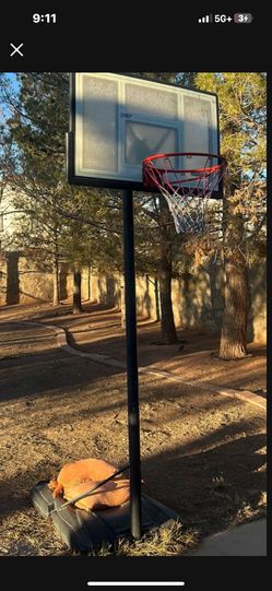 Basketball Court
