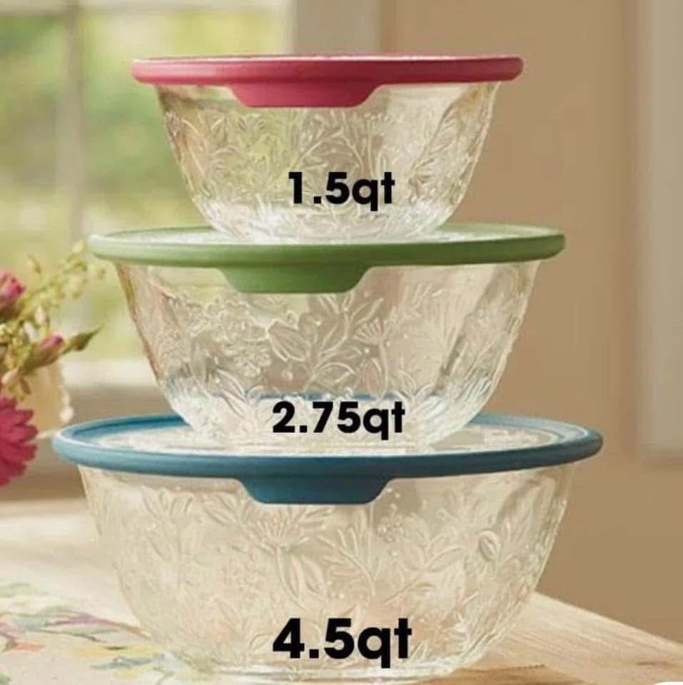 Set De Recipientes princess House