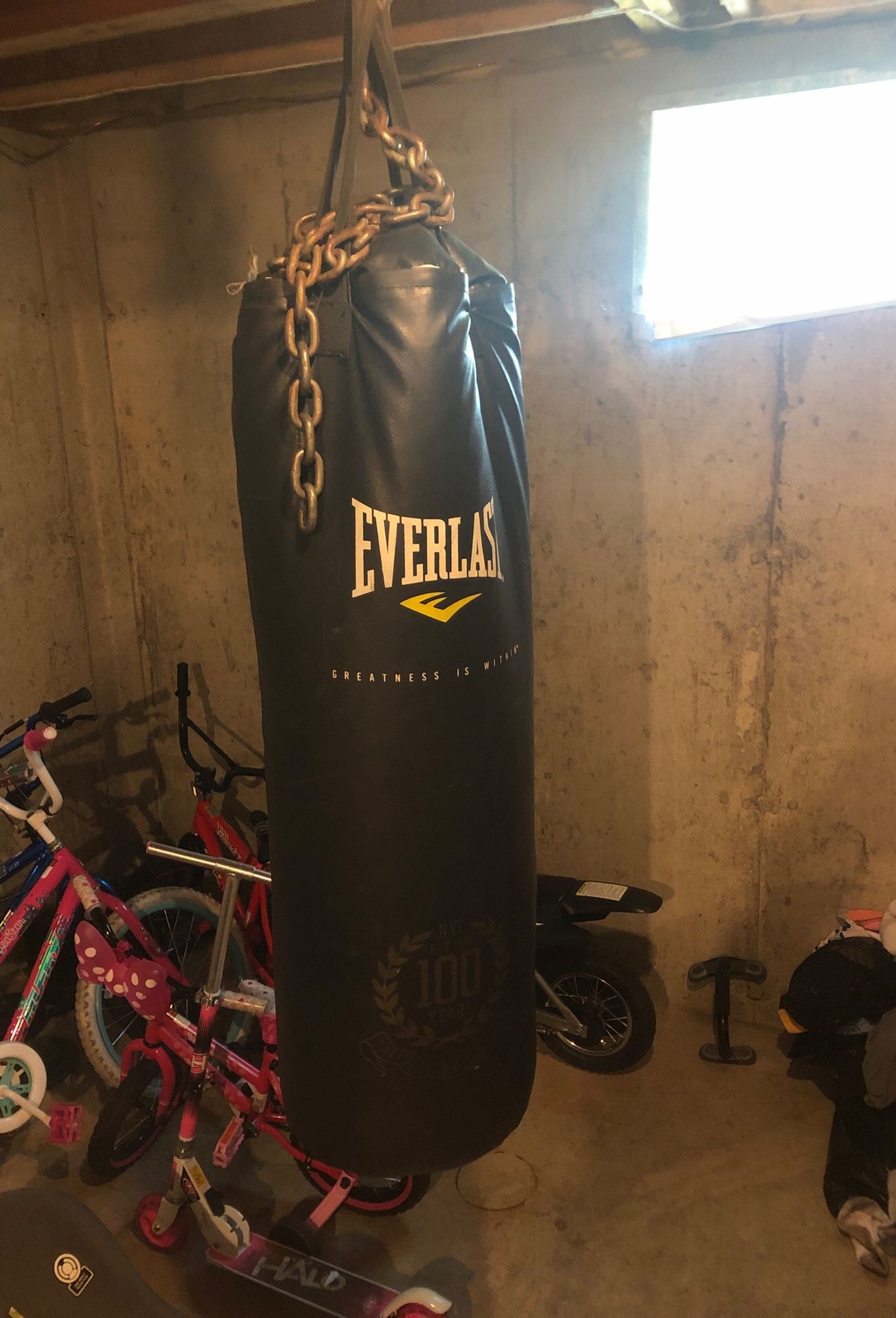 Punching bag and gloves