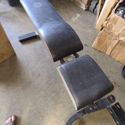 Gold Gym Workout Bench