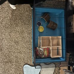 Hamster Set Up