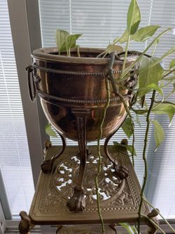 Antique Brass Champagne Bucket with Plant
