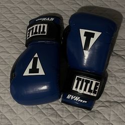 Blue Title Boxing Gloves 