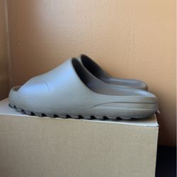 Slides 
