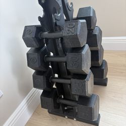 4 Pairs Of Dumbbells (40, 35, 30, 20) with Stand