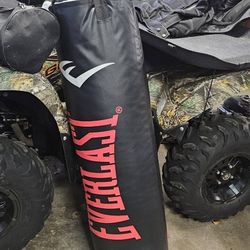 100lb Punching Bag With Stand