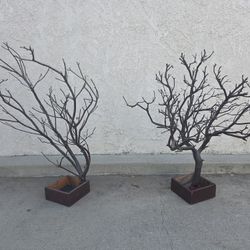 Tree Branches With Base /stand