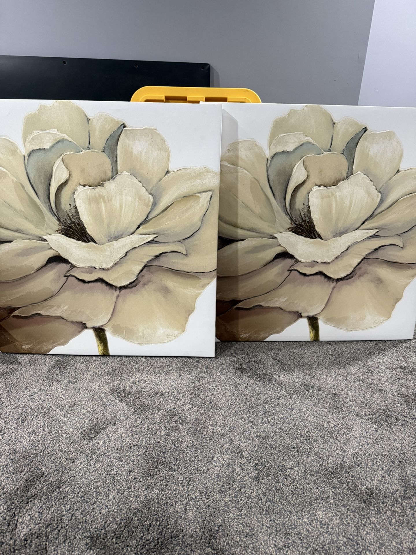 2- 30x30 Canvas Pictures