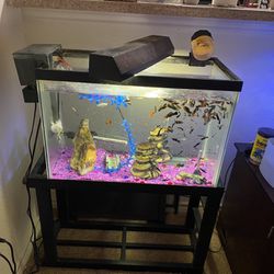 Aquarium 29 Gallons With Stand