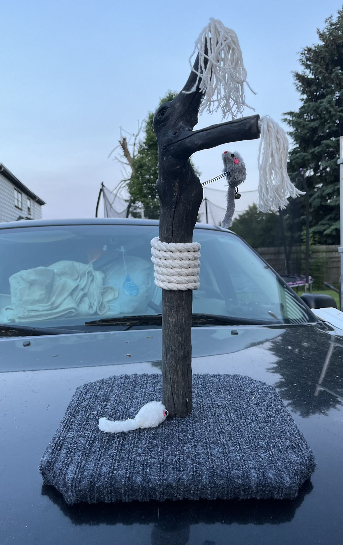 Cat Scratcher (READ DESCRIPTION)