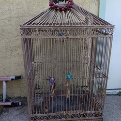 Antique Bird Cage Aviary