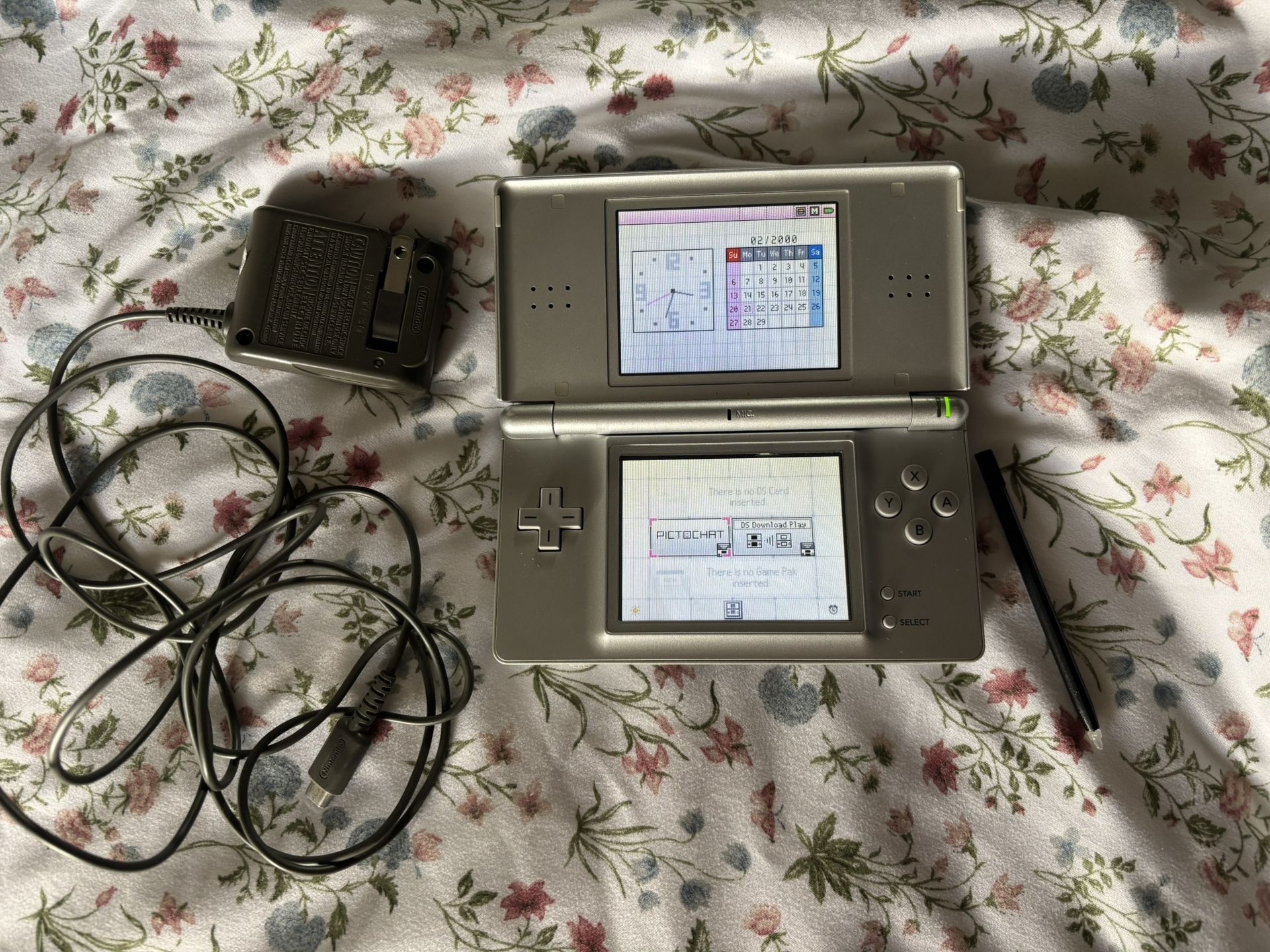 Nintendo DS Lite