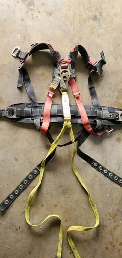 Harness Body
