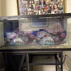 55 Gallon Aquarium and Stand