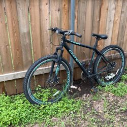 Mountain Bike