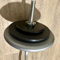 Curl Bar Standard With Pairs Of 25s 10s And 5 lbs  Total: 94 lbs