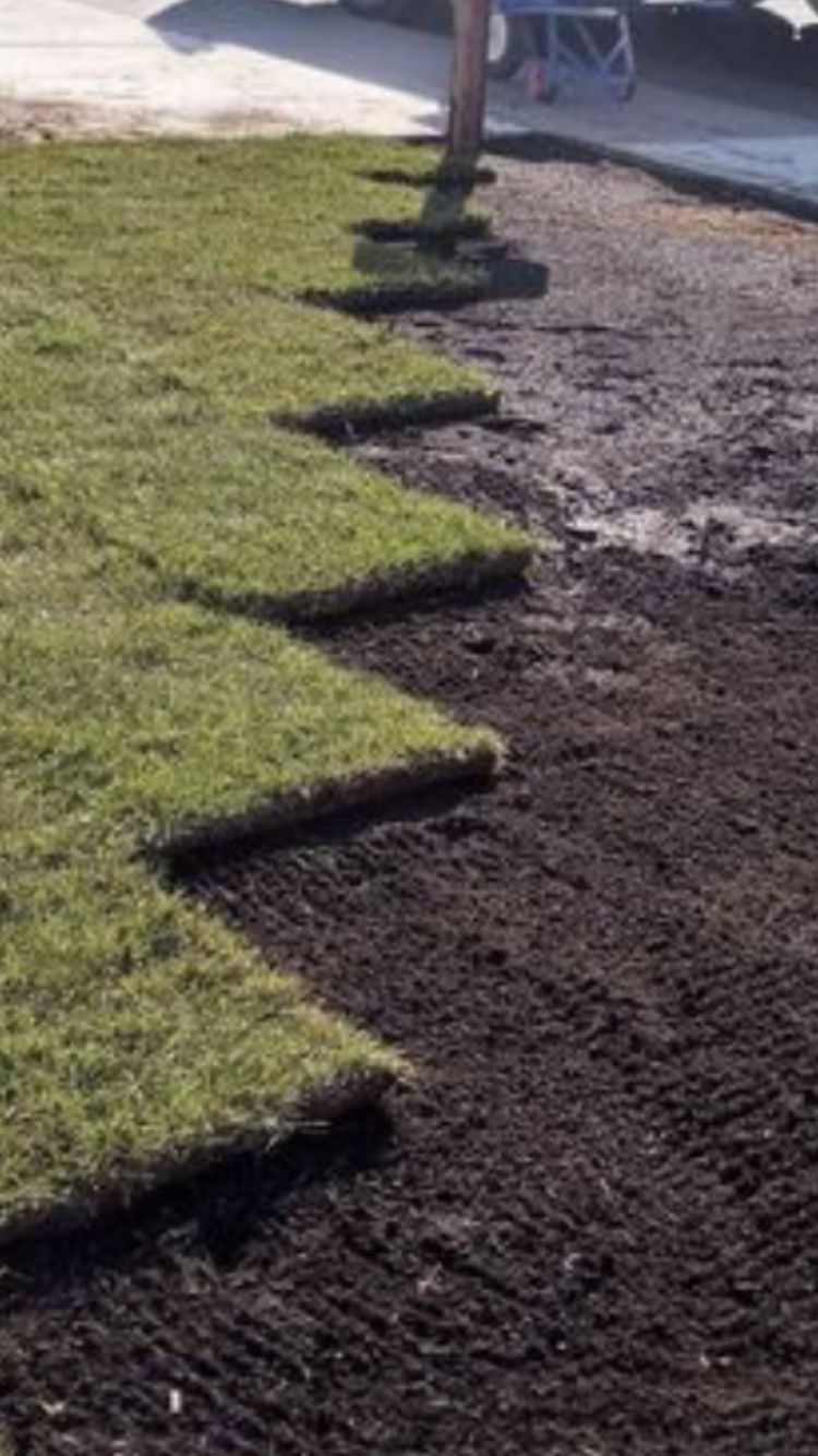 Fresh Sod