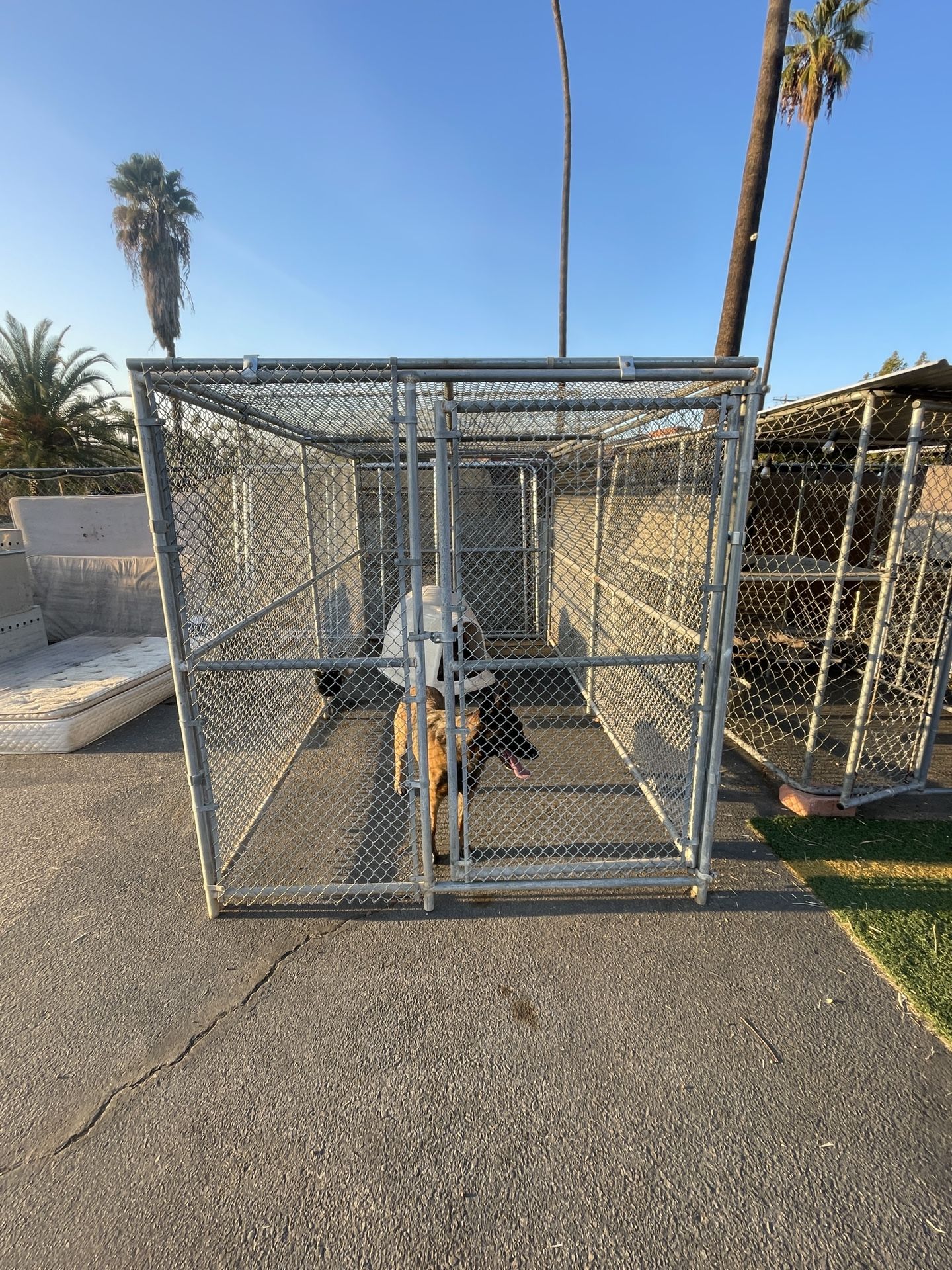 Chain Link Dog Kennel With Top 10X10X6 Quality Outdoor Used Chain Link Dog  Kennel Lowes Closed