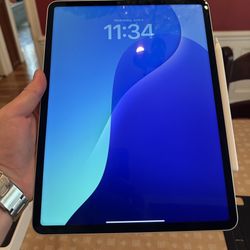 Apple iPad Pro 12.9-inch (5th gen) 256GB BUNDLE + APPLE PENCIL AND 2 CASES