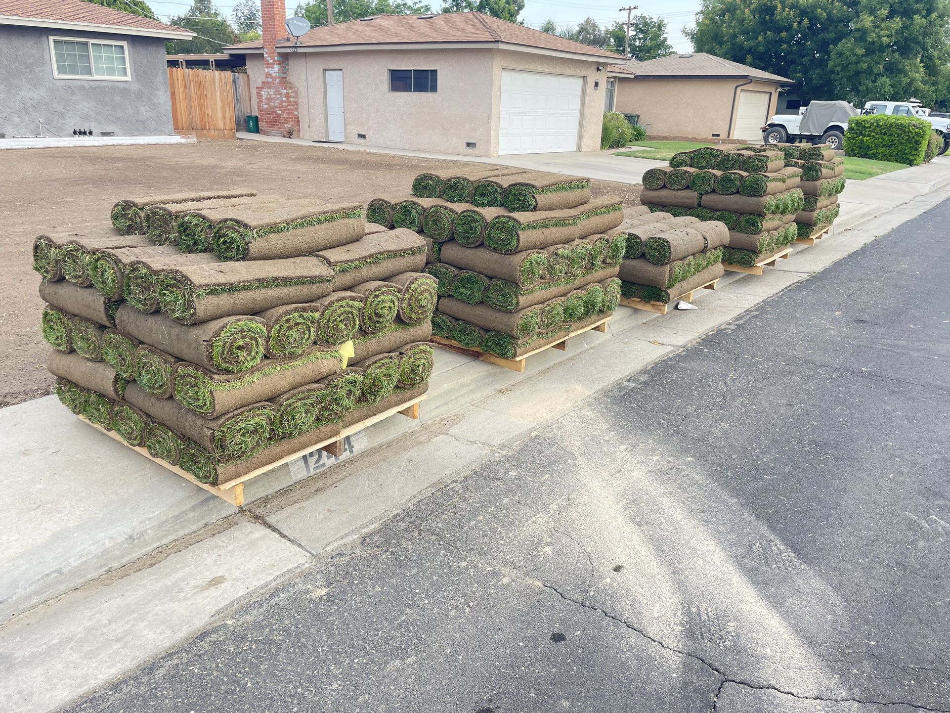 The Best Quality Fescue Sod