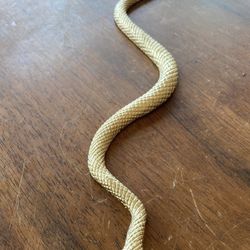 Gold snake 