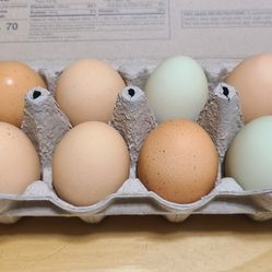 Fresh Farm Eggs 