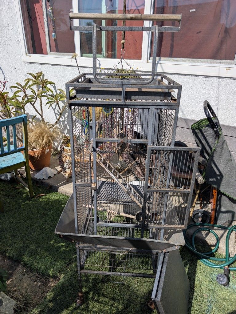 Bird Cage