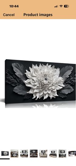 Flower Canvas Wall Art for Living Room Modern Prints Wall Art for Bedroom Black and White Wall Decor for Office 20 x 40 Inch