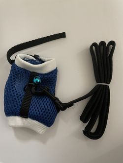 Small Animal Harness and Leash