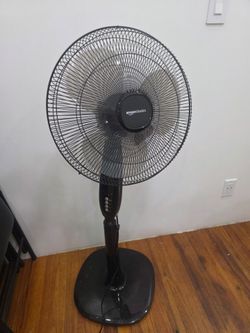 Fan