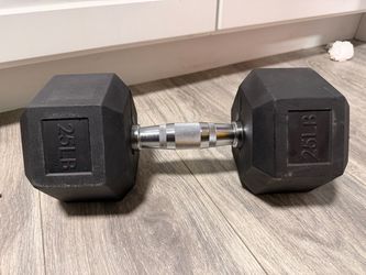 25lb Hex Dumbbell