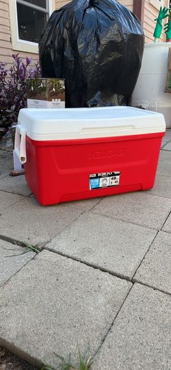 Igloo laguna 48 quart hard sided ice chest cooler