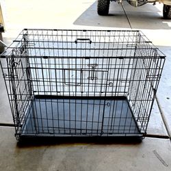 Dog Kennel 