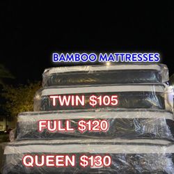 Twin Size Mattress 
