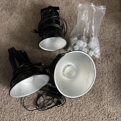 Incandescent Light Fixtures, High Quality Bulbs, 1 Dimmer, 1 Softbox 