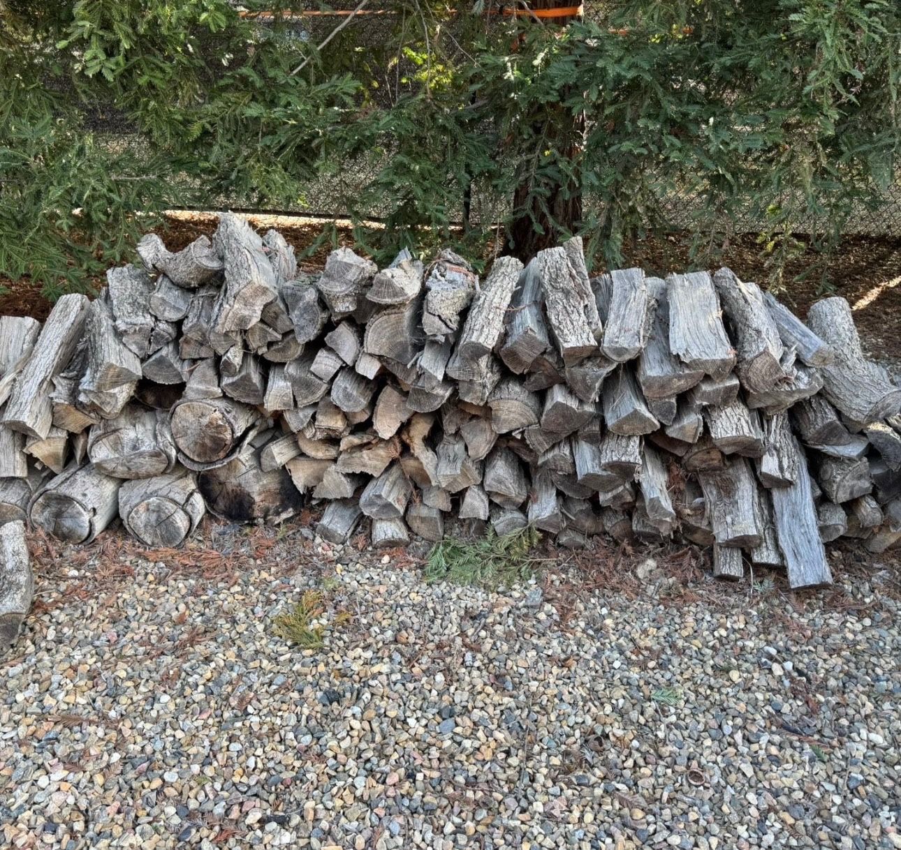 Firewood