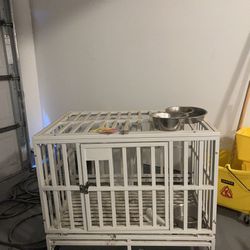 Dog Cage Must Go Today $65 Pick Up In Gwinnett 