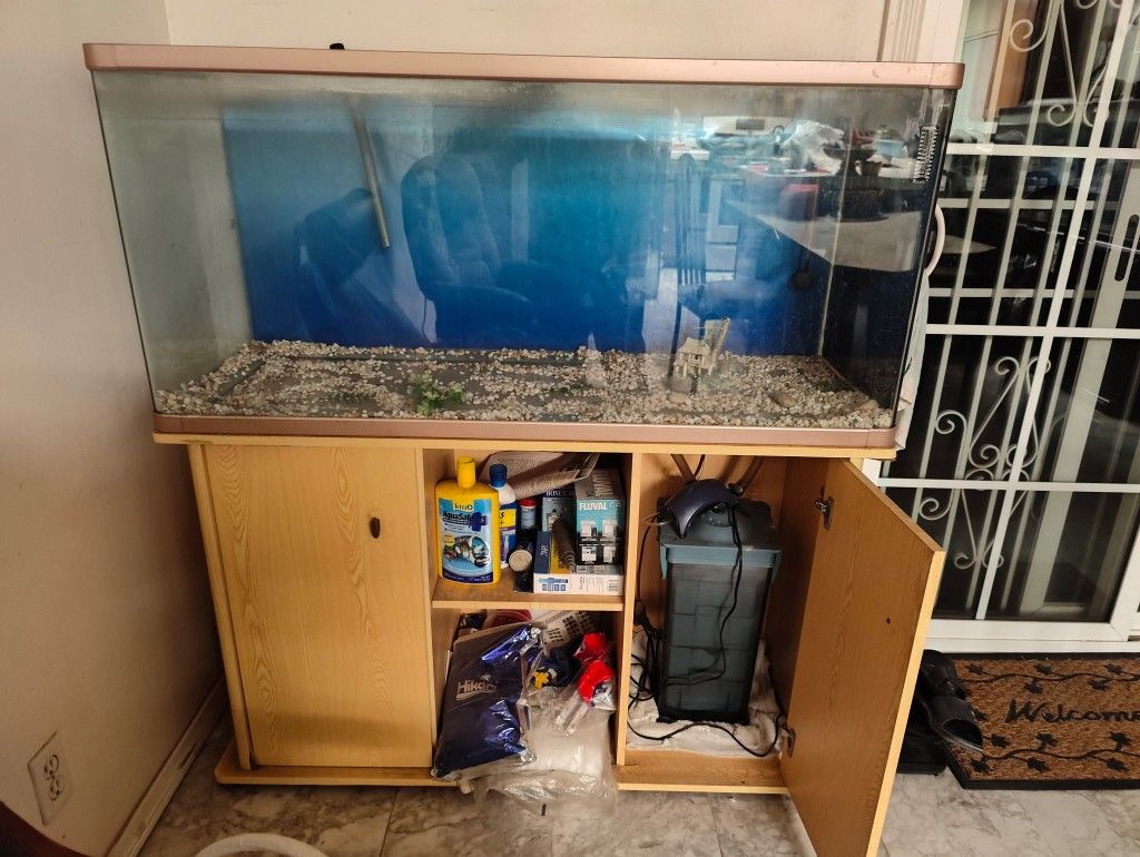 90 Gallon Fish Tank Complete Set Up