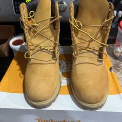 Timberlands 