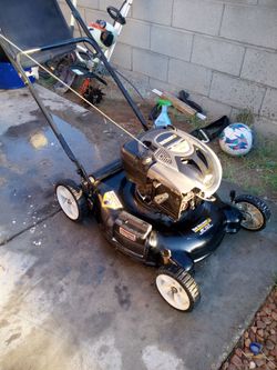 Briggs & Stratton Craftsman 21in. Cut