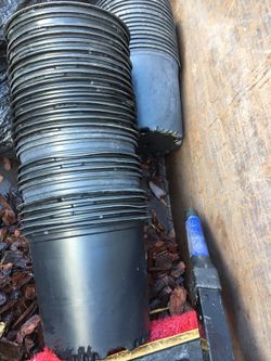 Almighty 3 Gallon Pots for only 50 cents