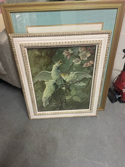 Framed Cockatoo Bird Print
