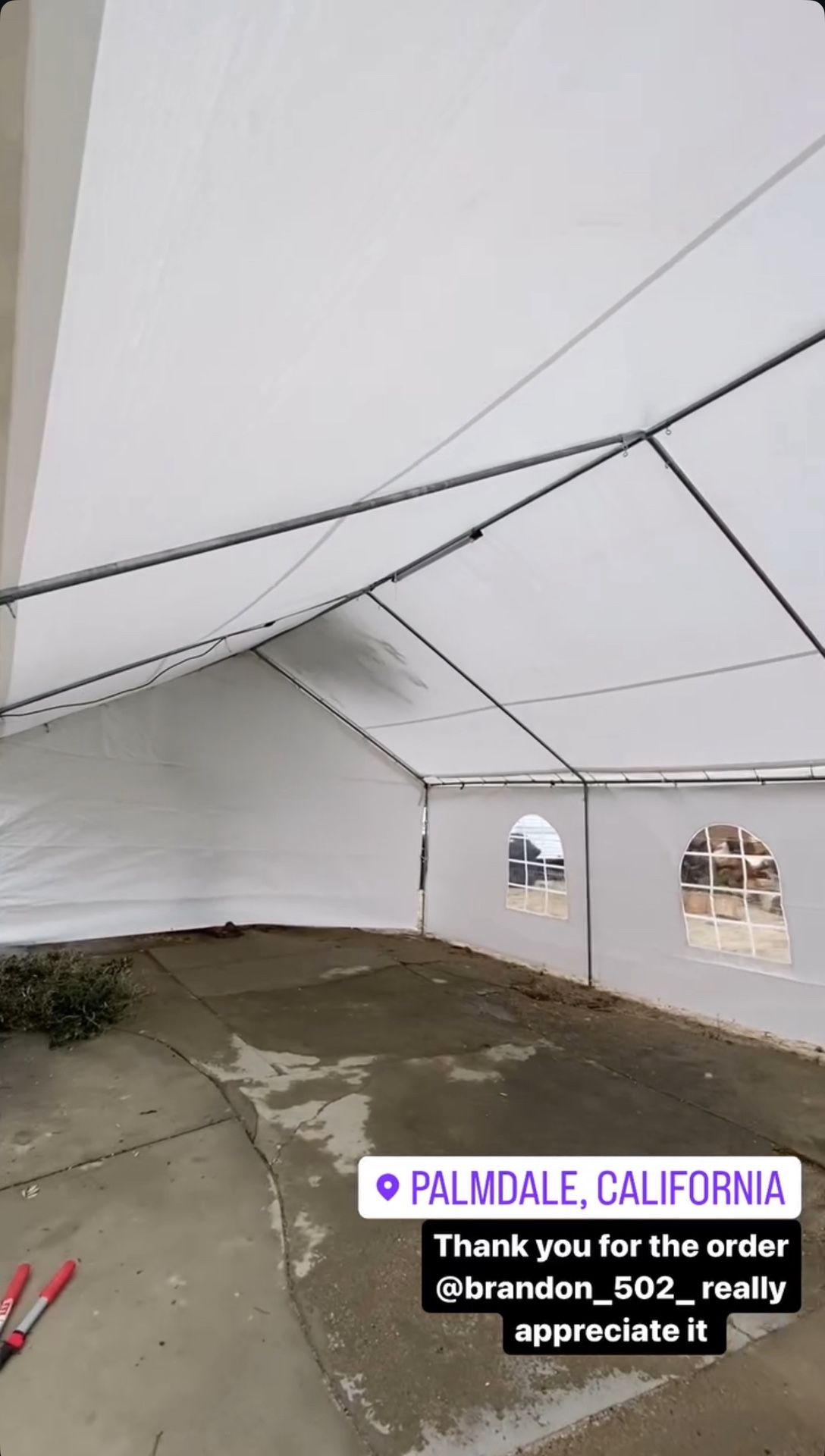 Carpas Party Supplies