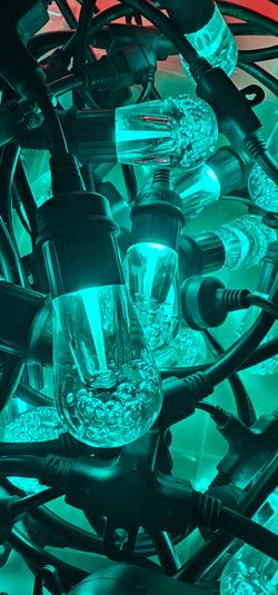 Enbrighten Vintage Style Outdoor String Lights, 48ft