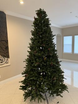 9ft Tree 